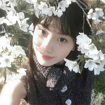 美女食神
